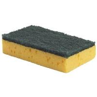 Sponge-Scourers